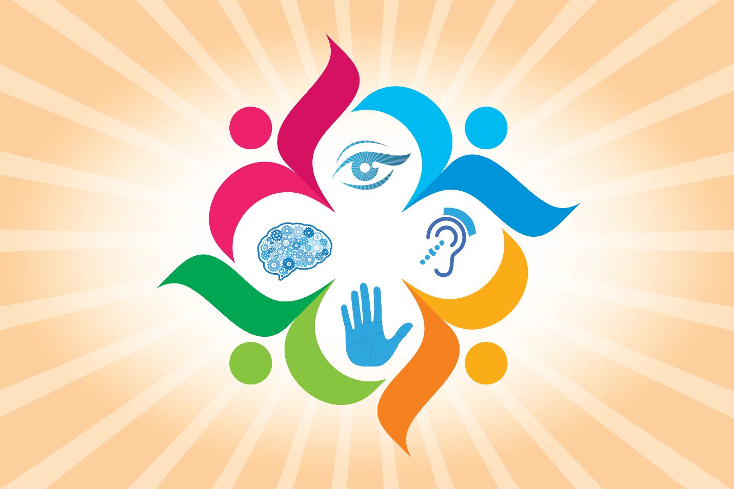 eye ear hand brain for senses and accessibility